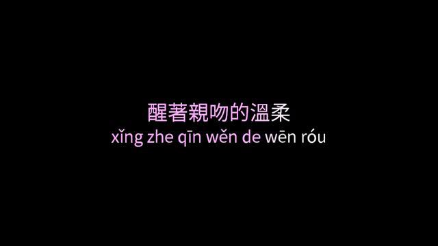 王菲-紅豆(hóng dòu)RED BEAN |Pinyin|Scrolling |Lyric|Chinese|Mandarin Song
