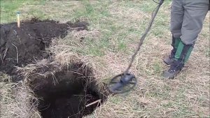 Интроник и Эквинокс