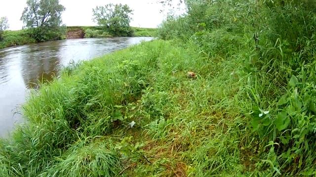 Еще немного о смазках для рыболовных катушек. смотреть онлайн