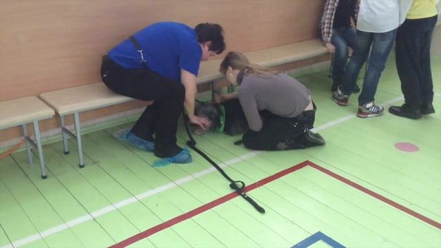 PET-поездка в детский дом-интернат смотреть онлайн