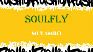 Soulfly - Mulambo (Guitar cover)