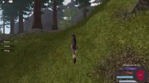 Hunting quagga as a dire wolf ROBLOX Cenozoic Survival