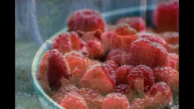 Самые захватывающие истории про медведей, которые были опубликованы за год. Интересные истории. смотреть онлайн