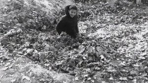 МАЛЬЧИК ПРОПАЛ ! УТОНУЛ В ЛИСТЬЯХ !!! ПОМОГИТЕ