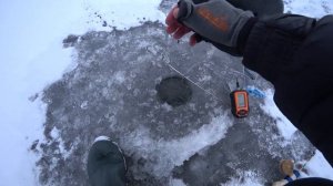 Гирлянда для зимней рыбалки. Моя первая рыбалка на гирлянду