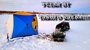 Я ПРОСТО УСТАЛ ОТ ТАКОГО КЛЁВА!!! ПЫТАЮСЬ ПРИГОТОВИТЬ ЕДУ НА ПЕЧКЕ, НО...  СУМАСШЕДШАЯ РЫБАЛКА!!!