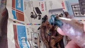 Георгины. Клубни после зимнего хранения в холодильнике.