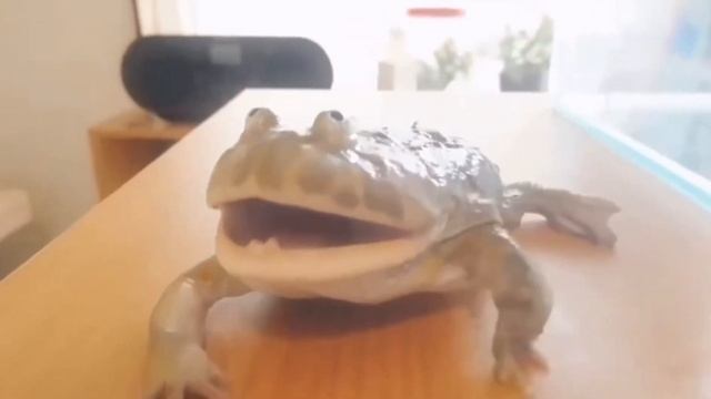 Жаба в ярости ? быть добру ? смотреть онлайн