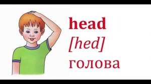 Песня про части тела на английском/ Head, Shoulders ...