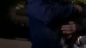 ?На холоде сидел истощенный потерянный Пикинес.