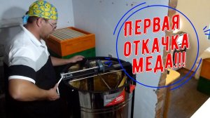 Обзор на медогонку Феролайф стрекоза на 4 кассеты.