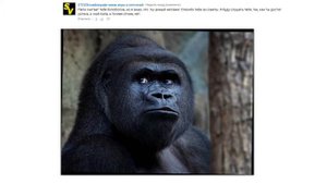 Ответы на вопросы : менеджмент мозга, зачем нужен офис