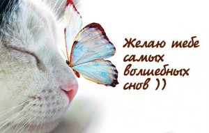 ?Чудесных Снов!? Спокойной Ночи!?Красивое пожелание