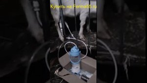 Доильный аппарат для коз