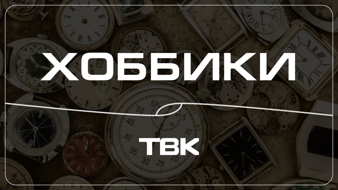 «Хоббики»: коллекция моделей самолетов