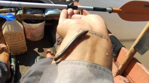 Амазонка. День 15 - Белая полоса / Сибиряк на каноэ [Subtitle] @Got1Try