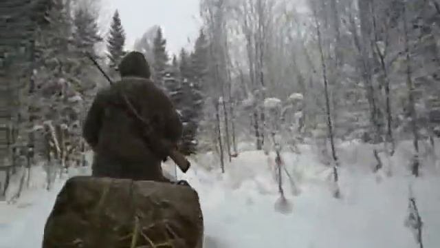 ВОГУЛЫ