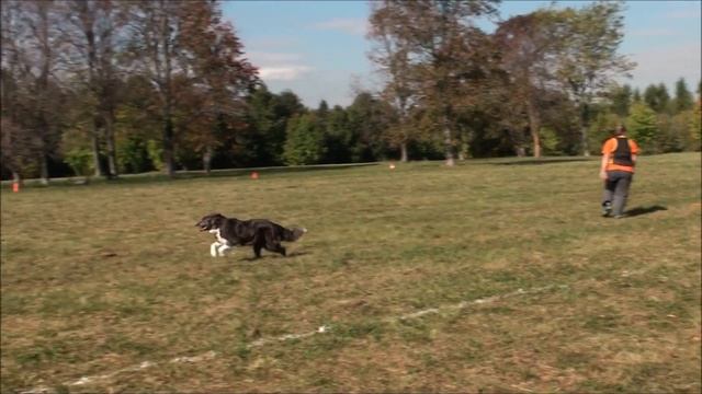 USDDN WF QUALIFIER Елена и Мышь.mp4