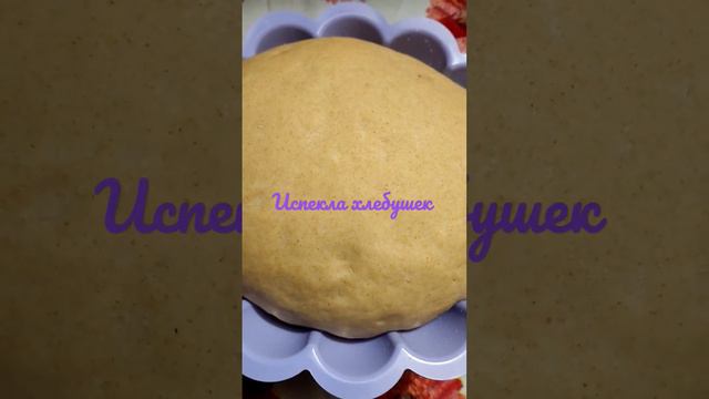 испекла хлебушек #baked bread #хлеб в аэрогриле #хлеб на закваске смотреть онлайн
