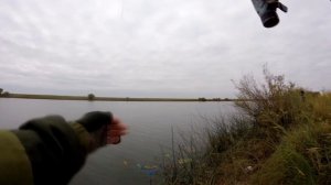 Ловля плотвы осенью | Рыбалка на реке | Фидер