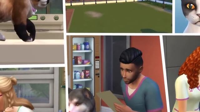 23 Факта о The Sims 4 Кошки и Собаки! смотреть онлайн