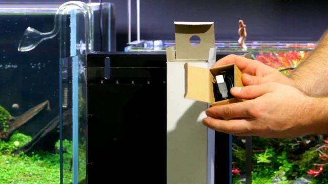 Dooa system Terra 30 unboxing from ADA - palludarium aquascaping