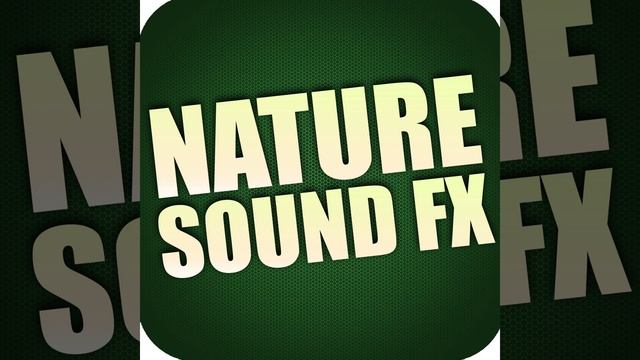 Wolf Howls and Growls смотреть онлайн