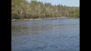 По Гонгору на Алгон