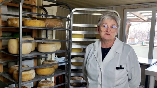 Сыровар Алла Роенко основатель  сыроварни СОЛОНОВКИНО