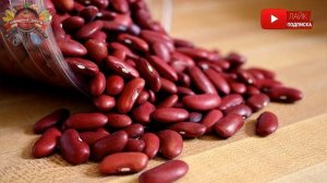 Фасоль храню в обычном бумажном ящике, просто положив в него... Ни один жучок не заведется!