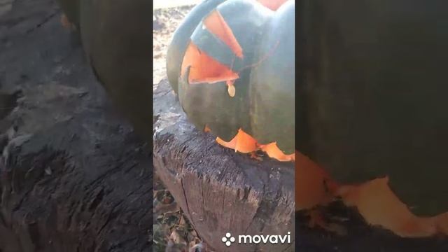 Ремонт охотничьего домика 1 часть смотреть онлайн