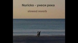 Nuricko - унеси река (slowed reverb)