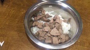 Как кормить собаку, если она не ест корм?