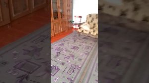 обзор моего квадрокоптера Syma x26 и моего кота!