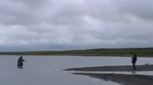 Воркута каракат и рыбалка