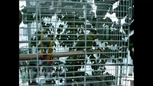 Олег Митраков - солист музыкального театра Омска.