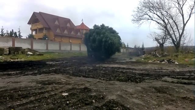 #посадкакрупномеров #ельголубая Посадка крупномеров greenpinus