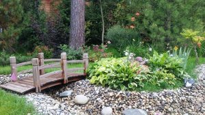 Красивые приусадебные участки. Идеи дизайна #ландшафт #длясадовогоучастка #сад