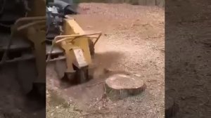 Пеньков как и не было
