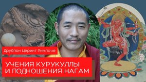 Друбпон Церинг Ринпоче — Учение о практике подношения нагам.