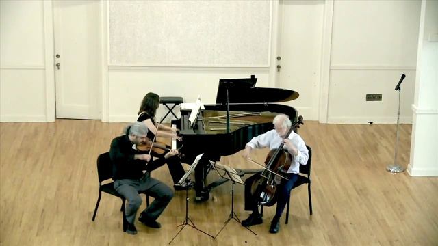 Trio Aleszky - Beethoven's Piano Trio in C minor - 1st movement allegro con brio смотреть онлайн