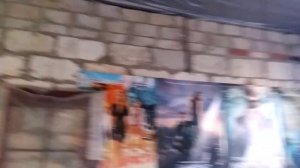 ВЫГОНКА ТЮЛЬПАНОВ К 8 МАРТА. ХОЛОДИЛЬНАЯ КАМЕРА ДЛЯ ТЮЛЬПАНОВ