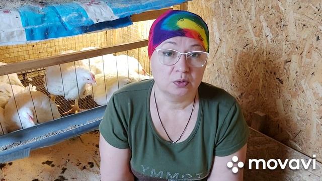 Кормления бройлеров. Как правильно перейти с комбикорма на зерносмесь, со Старта на Рост... Пурина смотреть онлайн