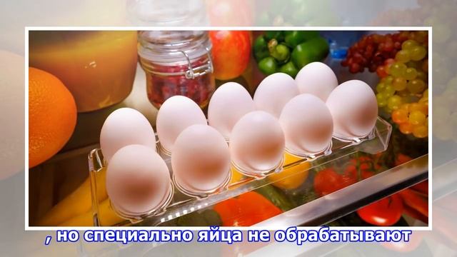 Нужно ли хранить яйца в холодильнике смотреть онлайн