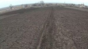 Картошка посадка подготовка семян
