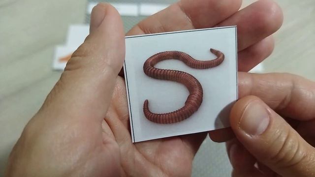 Изучаем, кто что ест. Отвечаем на вопросы: "кто ест?", "что ест?" смотреть онлайн