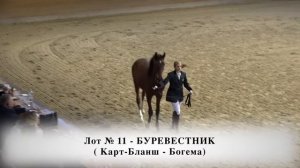 ХХ Ежегодный аукцион лошадей Орловской Российской породы