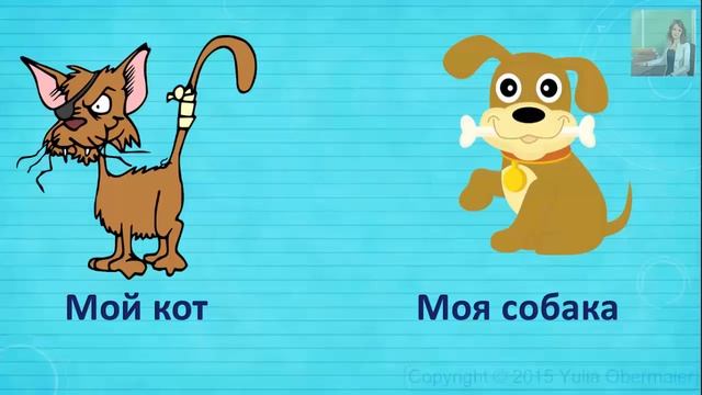 Притяжательные местоимения в английском языке