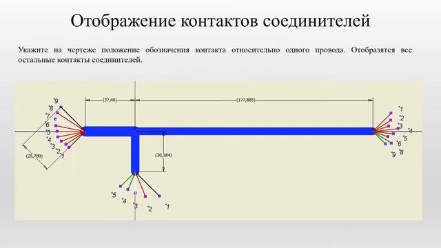 Чертеж жгута