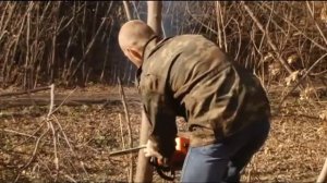 На территории бывшего барнаульского сереброплавильного завода прошел субботник 19.10.15